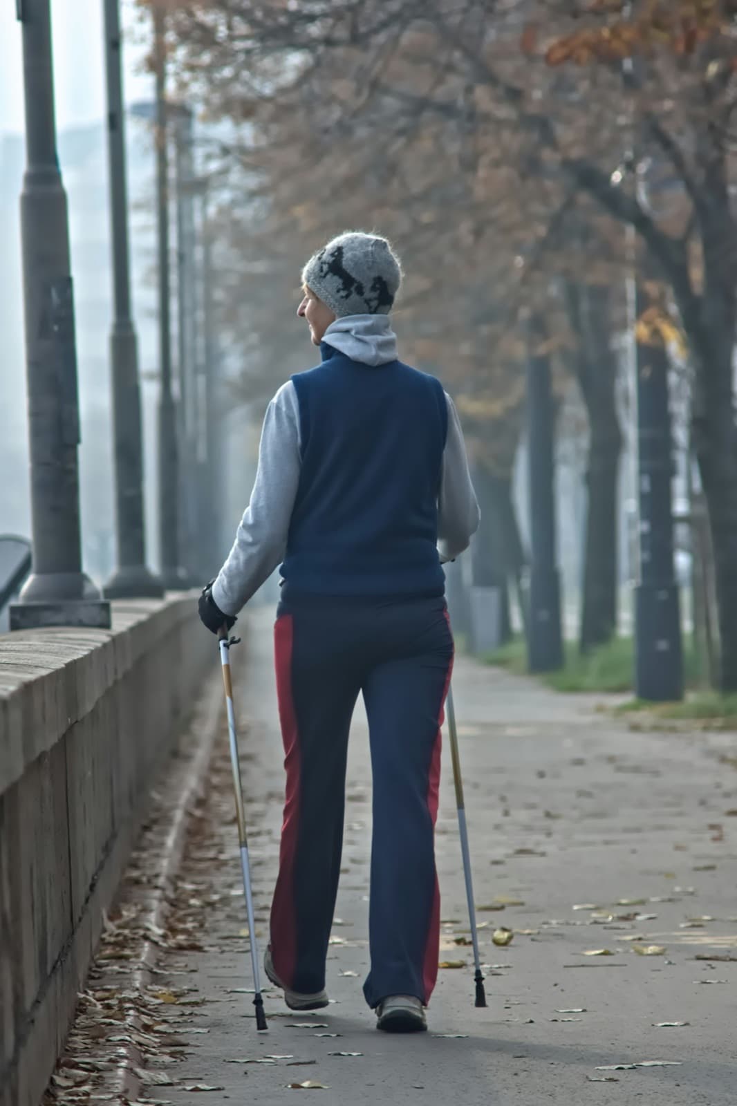 Frau mit Nordic-Walking-Stöcken auf einer Allee